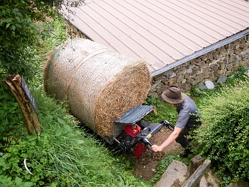 20230903-DSCN1651