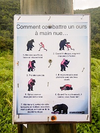 20230908-DSCN1835