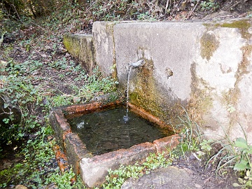 20230926-DSCN2748
