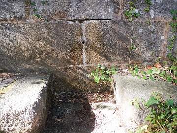 20230927-DSCN2771