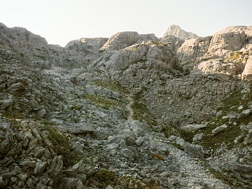 2023-08-08 00137