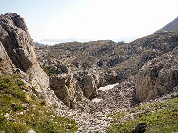 2023-08-08 00141