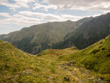 20230825-DSCN1229