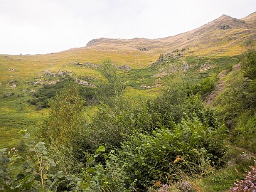 20230902-DSCN1579