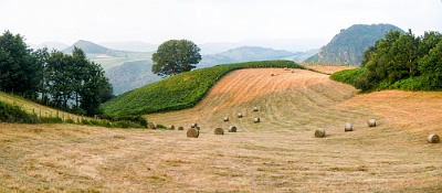 Neues Panorama 1