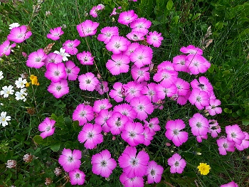 0069